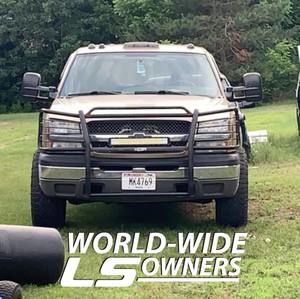 Meet your Posher, Dylan